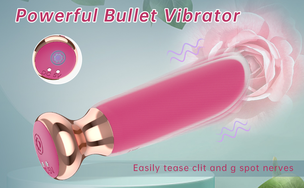 bullet vibrator