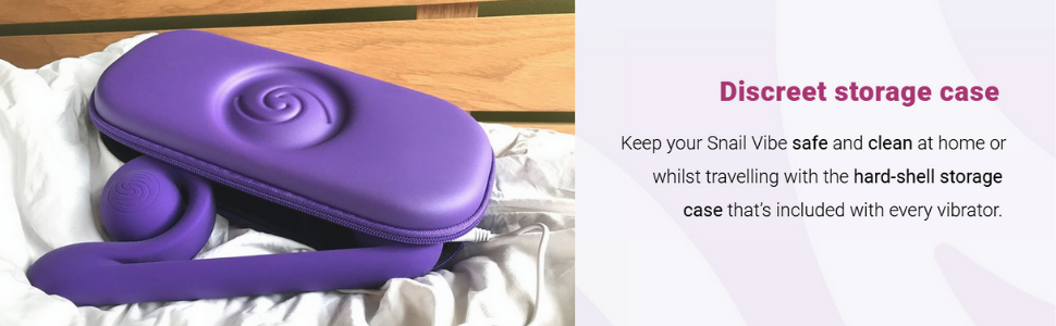 Discreet Storage Case