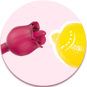 adult toys for women 