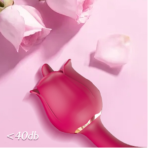 adult toy
