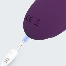 sex toys