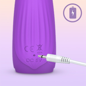 Rechargeable