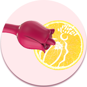 vibrator 