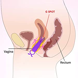 G SPOT