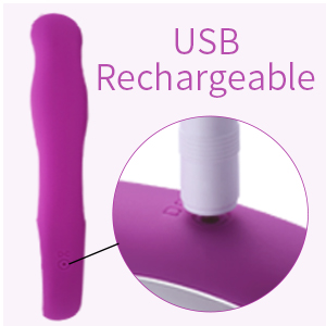 rechargeable vibrator