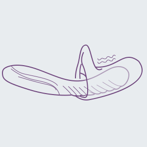 vibrator for women