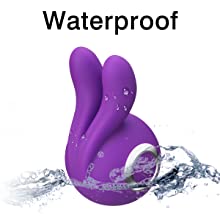 Vibrator 
