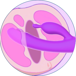vibrator,sex toys,vibrators,adult toys,sex toy,sex toys,rabbit vibrator ,adult toy,women vibrator