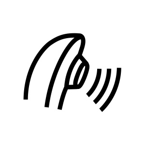 Pleasure Air Technology
