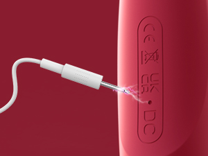 sex toys