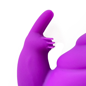 兔子6