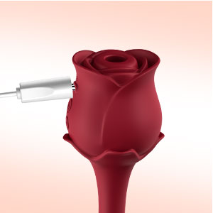 USB rechargeable